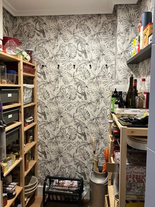 Papel pintado tropical aves y flores
