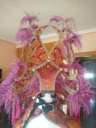 Traje Carnaval Morado Dorado