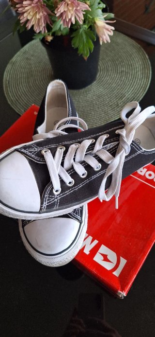 Zapatillas