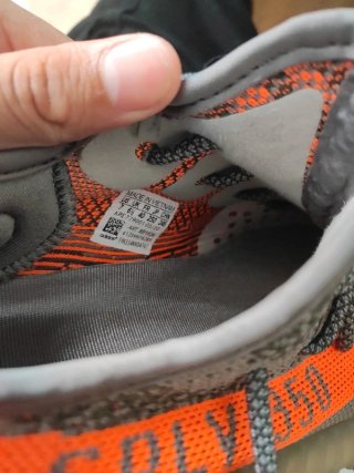 Adidas Yeezy 350 Beluga