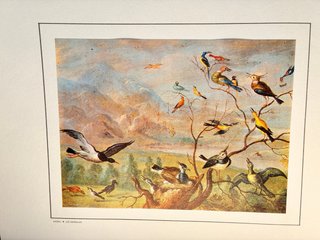 Carpeta 19 láminas arte Caja Postal Ahorros