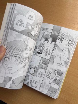 FRUITS BASKET 01