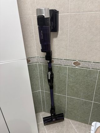 Aspirador escoba Rowenta force flex 9.60