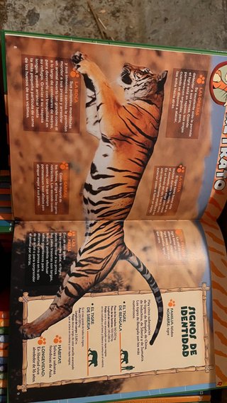 Maravillosos mundo de los Animales Disney