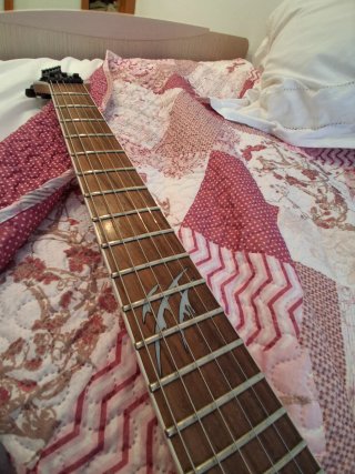 Guitarra Eléctrica Ibanez S Series