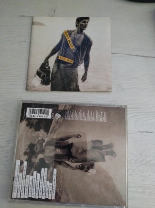 CD Morten Harket Wild Seed