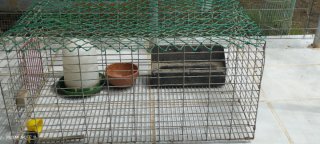 Jaula para conejos, pollitos, perdiz o hurones