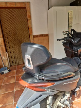 Respaldo Honda Forza 125-350 Negro