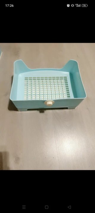 Box sabbia per animali blu