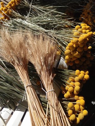 Fiori secchi