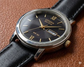 Reloj Citizen Eco-Drive WR 50
