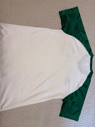Camiseta Puma Palmeiras Blanca y Verde