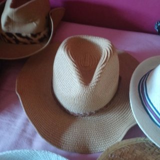 Lote de 10 sombreros variados