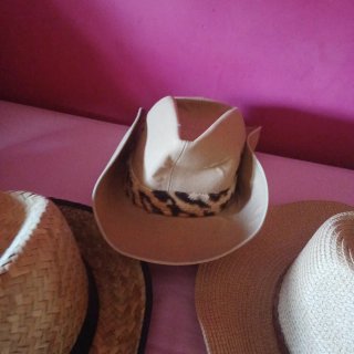 Lote de 10 sombreros variados