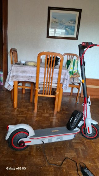 Patinete Eléctrico Ninebot G30 Gris