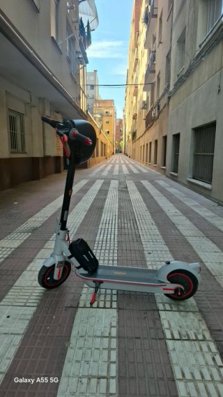 Patinete Eléctrico Ninebot G30 Gris