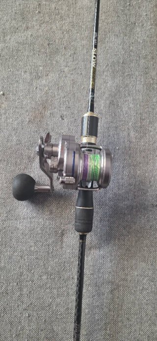 Caña de pesca slow rider carrete daiwa saltiga hl