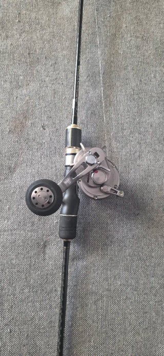 Caña de pesca slow rider carrete daiwa saltiga hl
