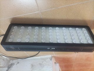 Pantalla LED Acuario Marino