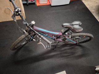 Bicicleta Coluer Infantil 20' Magic
