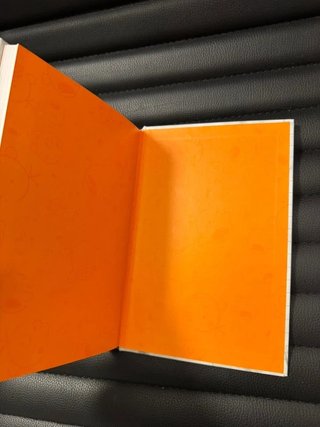 Diario di una schiappa - il libro del film