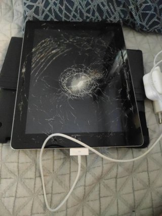iPad 3ª Gen (A1416)