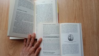 Libros en clave d humor sobre relaciones de pareja