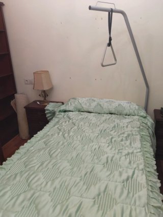 Cama Eléctrica Articulada con Grúa