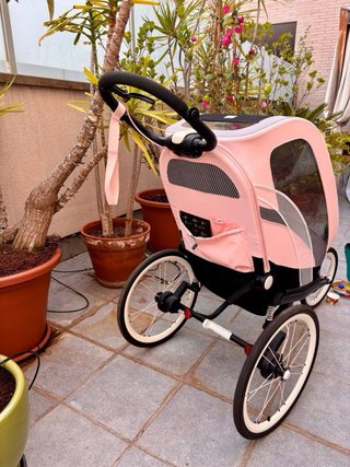 Cybex Zeno Silla Paseo Running