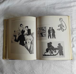 Libro Evelyn Waugh y su mundo en ingles