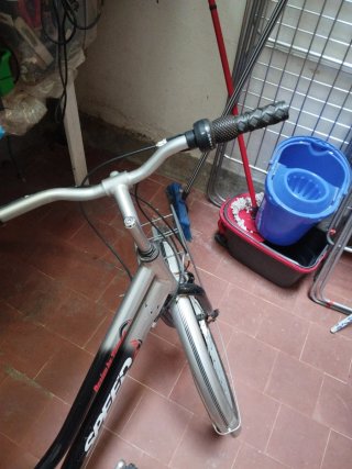 Bicicleta de paseo Speed