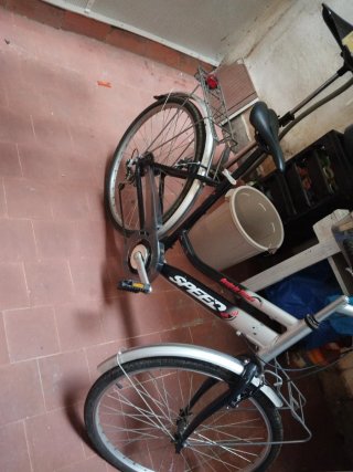 Bicicleta de paseo Speed