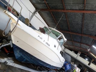 Barco Playamar 600 con motor Yamaha F115