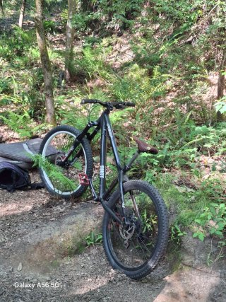 Bicicleta de Descenso