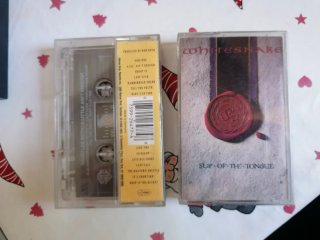 Lote de 29 Casetes de Música Variados