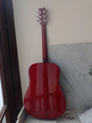 Guitarra Acústica Marrón Washburn