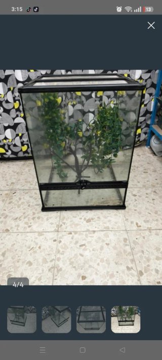 Terrario Exo Terra Negro/Transparente