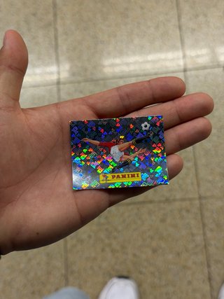 Cromo Panini Mundial 00
