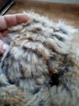 Cuello de piel marrón y gris