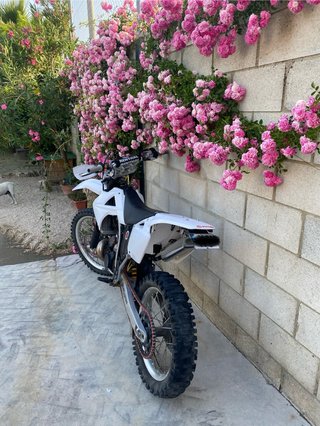 Gas Gas EC 250
