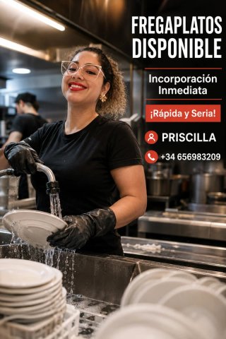 Fregaplatos / Limpieza de cocina y restaurantes