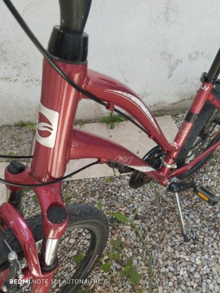 Bicicleta Giant Mujer