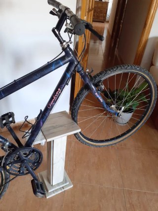 Bicicleta de montaña Climbing