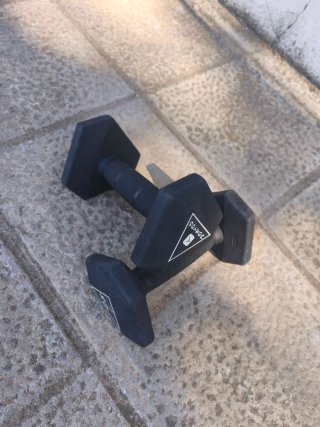 2 Step+ 2 Mancuernas 2.5kg+rueda abdominal