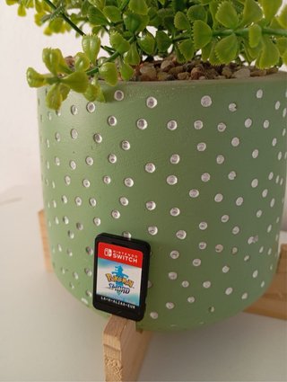 Nintendo Switch Pokémon Espada