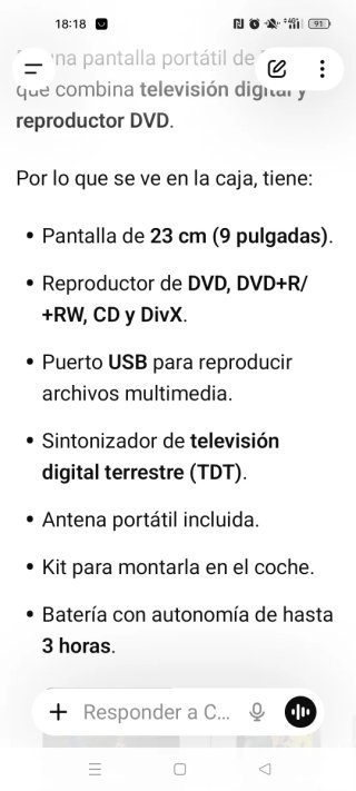 Pantalla TV DVD portátil Philips 23cm