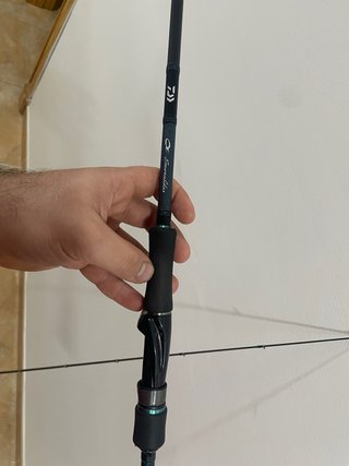 Caña Daiwa Emeraldas 86ML