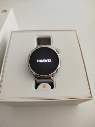 Reloj Huawei Watch GT 5 Plata/Blanco