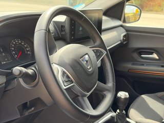 Dacia Sandero Etiqueta ECO