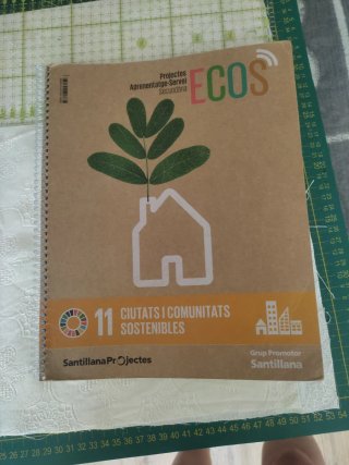 PROJECTES APRENENTATGE SERVEI SECUNDARIA ECOS C...